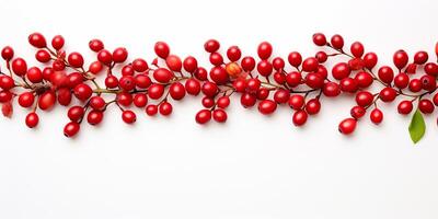 ai generiert rot Berberitze Geäst isoliert auf ein Weiß Hintergrund. reif frisch Beeren. Berberitze Zweige. foto