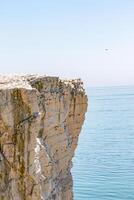 majestätisch Cliff Über Ruhe Blau Meer mit klar Himmel und ein entfernt Vogel im Flug. foto