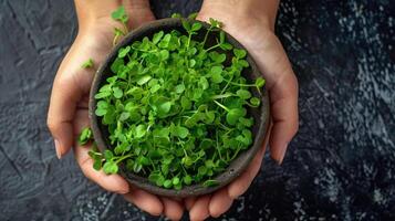 ai generiert Frau halten Schüssel mit Microgreens im ihr Hände, Nahansicht foto