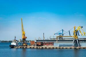 Portal Hafen Kran im das Hafen. Logistik Geschäft. enorm Kräne und Behälter, sonnig Sommer- Tag. foto