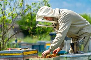 Person Behandlung Biene Bienenhaus. Frau im Besondere passen Arbeiten mit Waben. foto