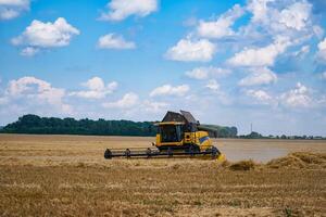kombinieren Ernte golden Weizen auf das Feld. groß Land landwirtschaftlich Ackerland. foto