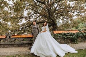 ein Hochzeit Paar ist Gehen im Natur auf ein Herbst Tag. glücklich jung Braut und elegant Bräutigam halten Hände. ein stilvoll Paar von Jungvermählten auf ihr Hochzeit Tag. foto