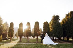 ein Hochzeit Paar ist Gehen im Natur auf ein Herbst Tag. glücklich jung Braut und elegant Bräutigam halten Hände. ein stilvoll Paar von Jungvermählten auf ihr Hochzeit Tag. foto