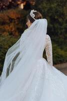 ein Brünette Braut im ein Weiß Kleid mit ein lange Zug hält das Kleid und Spaziergänge Nieder das Stein Weg. Herbst. Hochzeit Foto Session im Natur. schön Haar und bilden. Feier