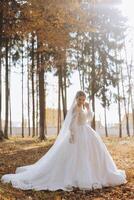 ein blond Braut im ein Weiß Kleid mit ein lange Zug hält das Kleid und Spaziergänge Nieder das Pfad bedeckt mit Herbst Blätter. Hochzeit Foto Session im Natur. schön Haar und bilden. Feier