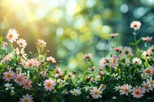 ai generiert üppig Blumen- Szenen präsentieren ein Vielfalt von Blüten im weich, strahlend Licht mit ein Bokeh Hintergrund foto