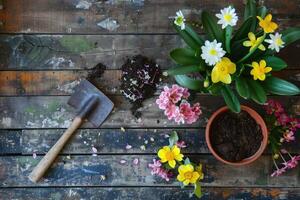 ai generiert Frühling Blumen im Töpfe mit Schaufel und Boden auf Garten Tisch. Konzept von Gartenarbeit und Pflanzen Pflanzen foto