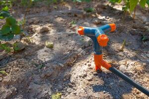 drei Arm rotierend oder rotierend Sprinkler im Fokus. Gartenarbeit Werkzeuge foto