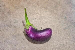 ein Aubergine oder lila Solanum melongena Lügen auf ein hölzern Tafel foto