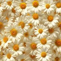 ai generiert ein Menge von Weiß Gelb Gänseblümchen oder Kamille Blumen - - zum Vollbild Hintergrund und nahtlos Textur foto