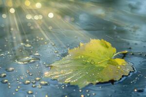 ai generiert ein Nahansicht von ein Grün Blatt mit Wasser Tröpfchen unter Sonnenlicht, Hervorheben das kompliziert Muster und frisch Aussehen von das Laub foto