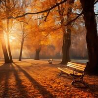 ai generiert hölzern Bank im das Herbst Park beim Sonnenuntergang. schön Landschaft. foto