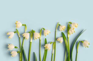 Komposition von Blumen. Rahmen von Schneeglöckchen Blumen auf ein Blau Hintergrund. eben legen, oben Sicht, Kopieren Raum. foto