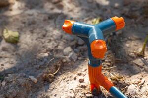 wirbelnd rotierend Rasen Sprinkler im Fokus. Gartenarbeit oder Garten Werkzeug. foto