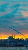 Istanbul Vertikale Foto. Möwe und suleymaniye Moschee beim Sonnenuntergang. foto