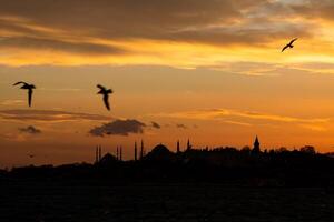 Istanbul Silhouette beim Sonnenuntergang. Möwen und Sehenswürdigkeiten von Istanbul foto