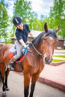 schön jung Frau tragen Helm streicheln zu ihr braun Pferd foto
