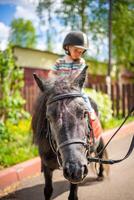 schön wenig Mädchen zwei Jahre alt Reiten Pony Pferd im groß Sicherheit Jockey Helm posieren draußen auf Landschaft foto