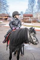 wenig süß Mädchen Reiten ein wenig Pferd oder Pony im das Winter im Feld im das Winter foto