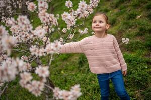 schön wenig Mädchen im ein Blühen Rosa und Weiß Garten petrin im Prag, Frühling Zeit im Europa. hoch Qualität Foto