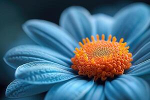 ai generiert lebendig Blau Gänseblümchen mit Orange Center Einzelheiten, präsentieren der Natur Kunst foto