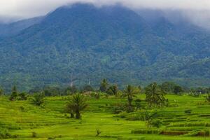 das Schönheit von das Morgen Panorama mit Sonnenaufgang im Indonesien Dorf foto