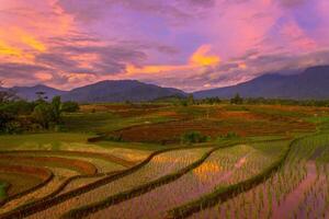 schön Morgen Aussicht von Indonesien von Berge und tropisch Wald foto