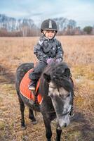 wenig süß Mädchen Reiten ein wenig Pony im Feld im das Winter foto