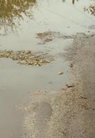 Foto eines Fragments einer zerstörten Straße mit großen Pfützen bei Regenwetter