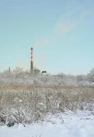 Die Industrieanlage befindet sich hinter dem sumpfigen, schneebedeckten Gelände. großes Feld mit gelben Binsen foto