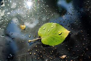 ai generiert ein Nahansicht von ein Grün Blatt mit Wasser Tröpfchen unter Sonnenlicht, Hervorheben das kompliziert Muster und frisch Aussehen von das Laub foto