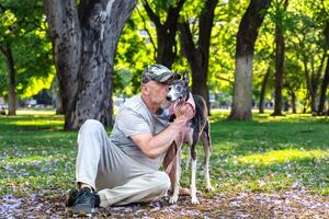 ein reifen kahl Mann sitzt mit seine Windhund im das Park, umarmen und küssen ihn. foto