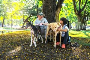 glücklich Paar mit Hunde im ein Park foto