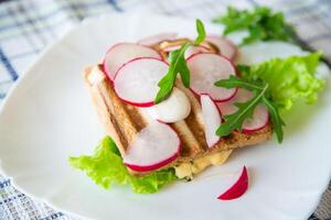 heiß Sandwich von gebraten Toast ausgestopft mit Käse, Kräuter und Radieschen foto