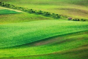 rollen Landschaft von Süd Mähren foto