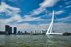 Aussicht von Rotterdam Über nieuwe maas mit Erasmusbrug Brücke. Rotherdam, das Niederlande foto