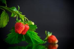 reif saftig rot Erdbeere auf schwarz Hintergrund foto