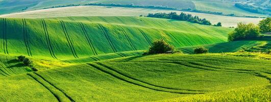 mährisch rollen Landschaft foto