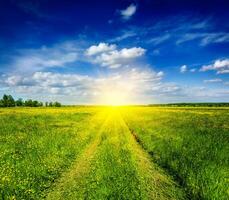 Frühling Sommer- ländlich Straße im Grün Feld Landschaft foto