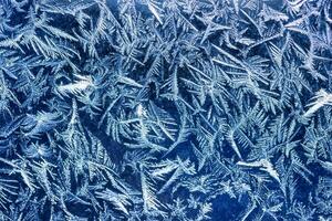 Winter Frost Muster foto