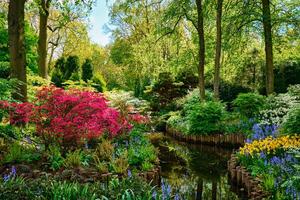 keukenhof Blume Garten. lisse, das Niederlande. foto