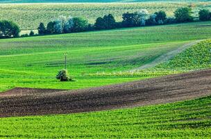 mährisch rollen Landschaft foto