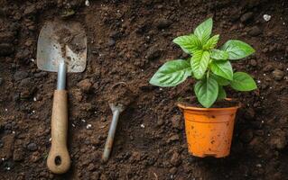 ai generiert Gartenarbeit Werkzeuge auf das Boden foto