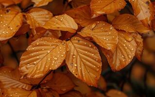 ai generiert Herbst Blätter im Natur foto