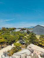 Strukturen im das Natur von Japan foto