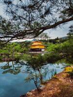 Baum Geäst Abdeckung das Aussicht von ein Gelb Pagode foto