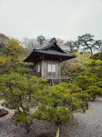 japanisch die Architektur eingetaucht im Natur foto