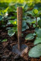 ai generiert Schaufel ist stecken im das Boden im Garten foto