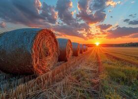 ai generiert Heu Ballen auf das Feld nach Ernte Ungarn foto